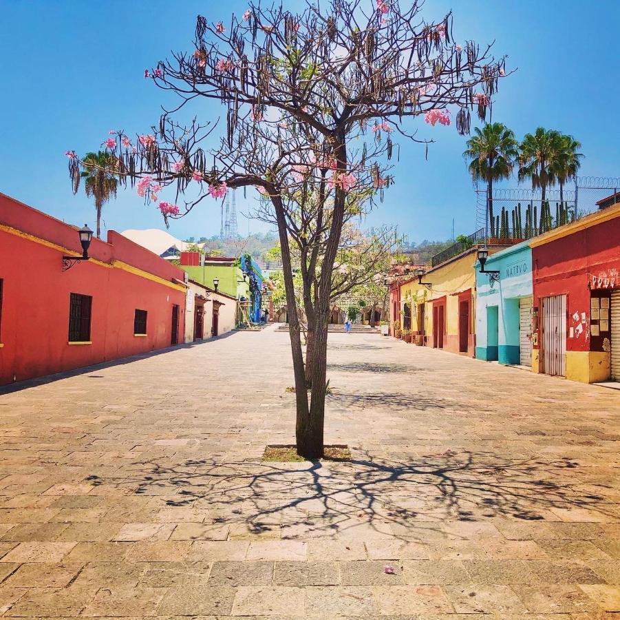 Beautiful Apartment In Oaxaca City'S Best Location Exterior foto